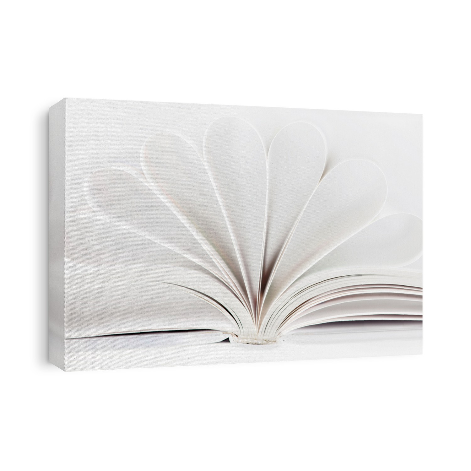 Abstract book on white background