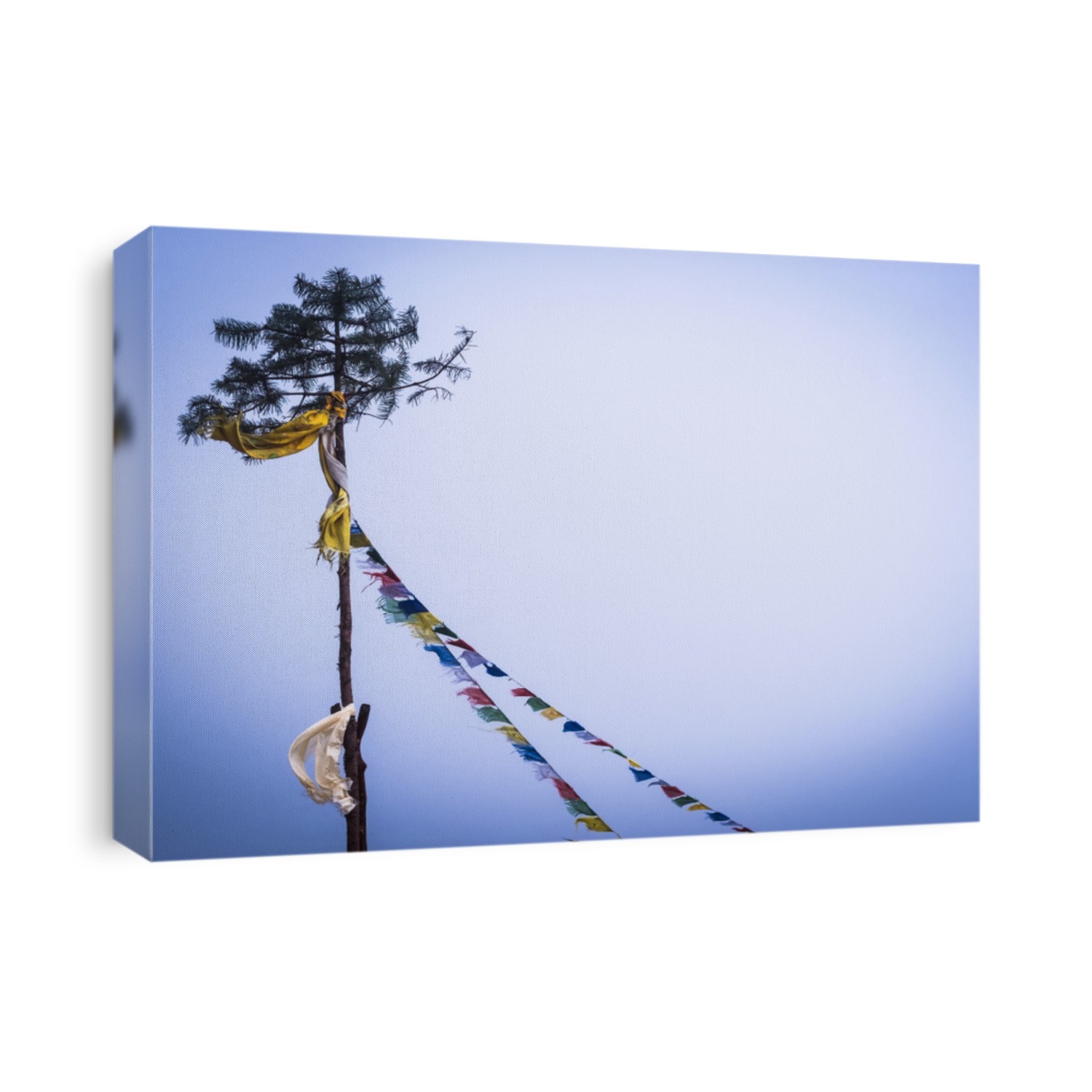 Buddhist Tibetan colourful prayer flags tied to high pine tree and blowing in the wind, Annapurna track, Himalayas.