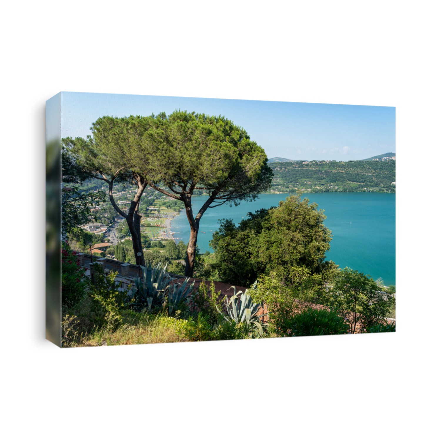 The Albano lake seen from Castel Gandolfo, Rome, Lazio, Italy, at summer